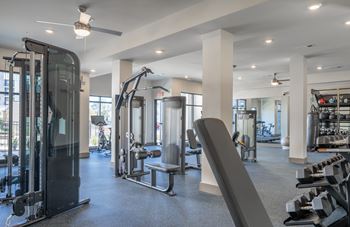 A spacious gym with a variety of equipment including a treadmill, weight bench, and dumbbells.